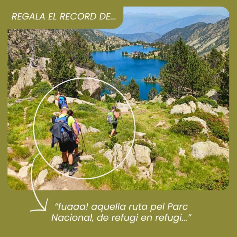 1f300fe1-c375-4ac9-b6ac-7c60663605cf (1)