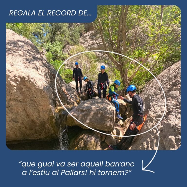 53335918-be8f-4c1a-b242-67712e22f7fd