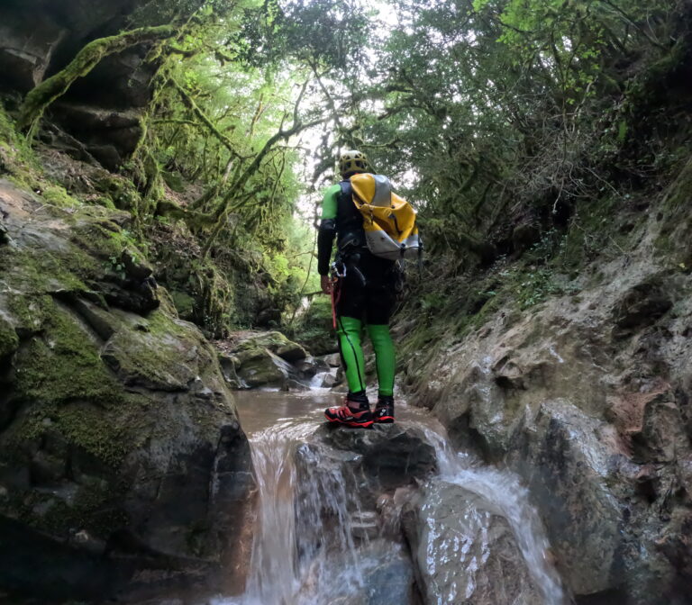 El guia d'ADN Pirineus observant detalladament la flora i la vegetació autòctona a l'interior d'un barranc humit al Pirineu català.