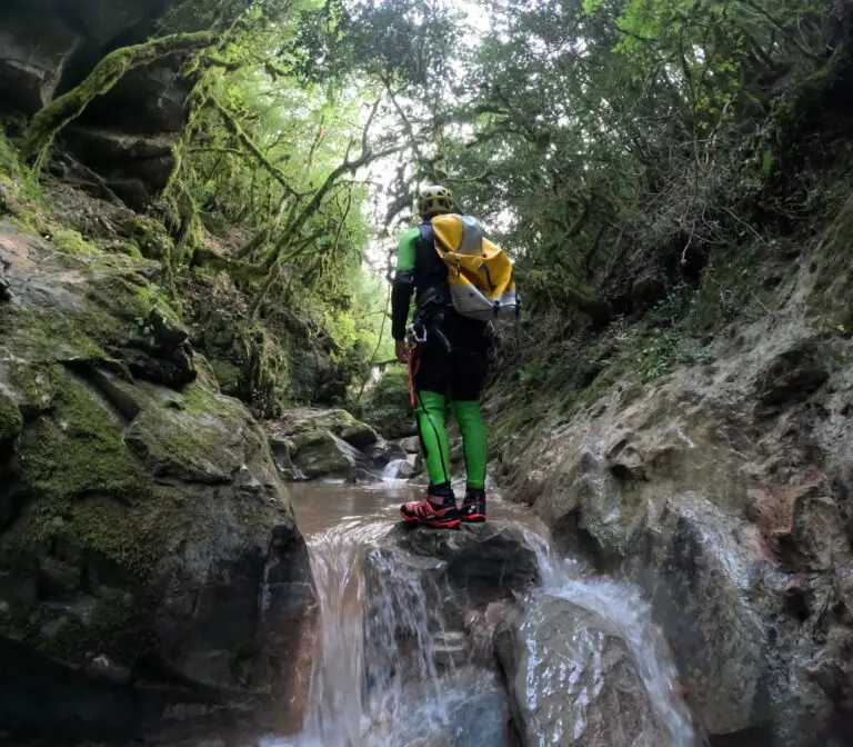 El guia d'ADN Pirineus observant detalladament la flora i la vegetació autòctona a l'interior d'un barranc humit al Pirineu català.