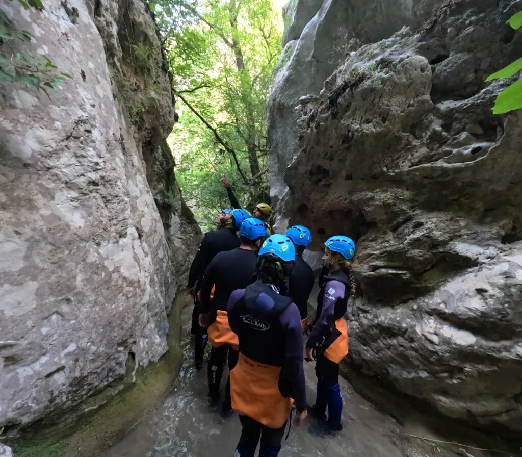 Un grup de barranquistes amb el guia d'ADN Pirineus observant la vegetació i les molses a les parets estretes del barranc de l'Infern, Collegats.