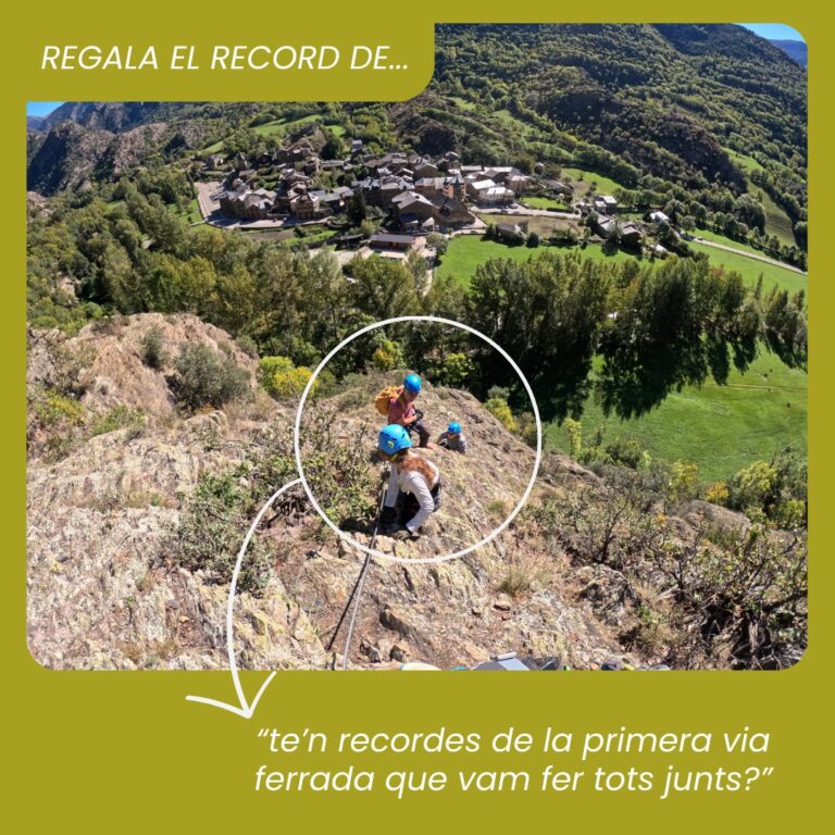 d4a97c48-73d3-49b8-9c20-de2ab10e2b41 (3)